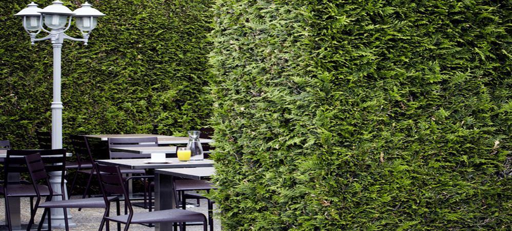 Campanile Grenoble Nord - Saint-Egreve Hotel Restaurant billede
